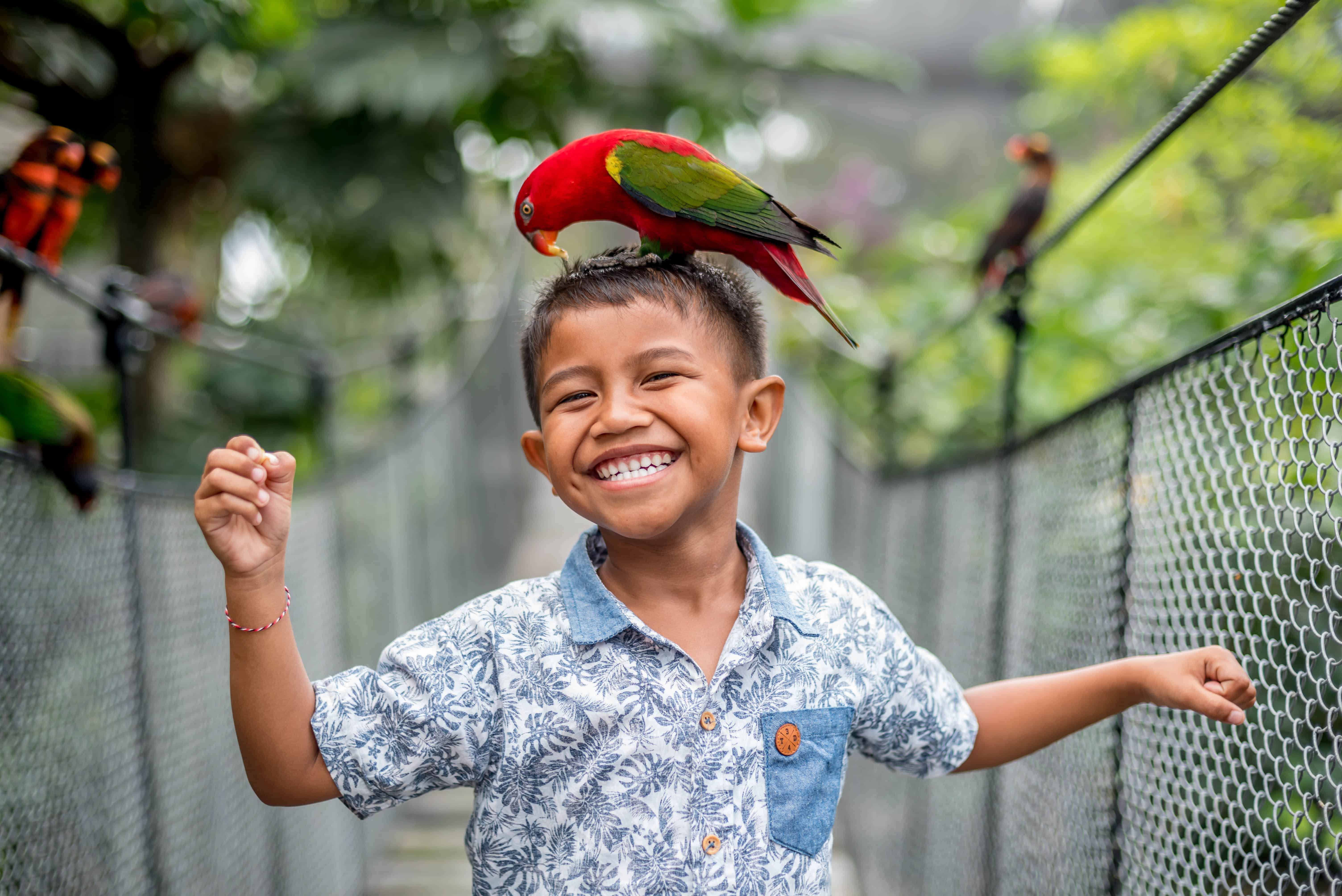 Bali Bird Park — photo 1