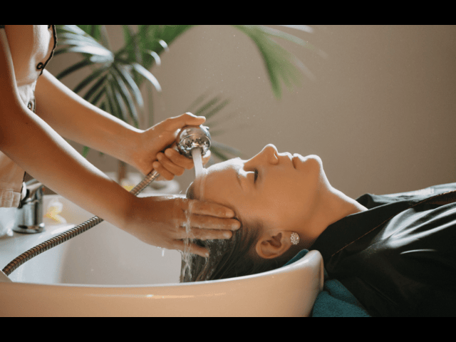 Royal Orchid Spa — photo 1