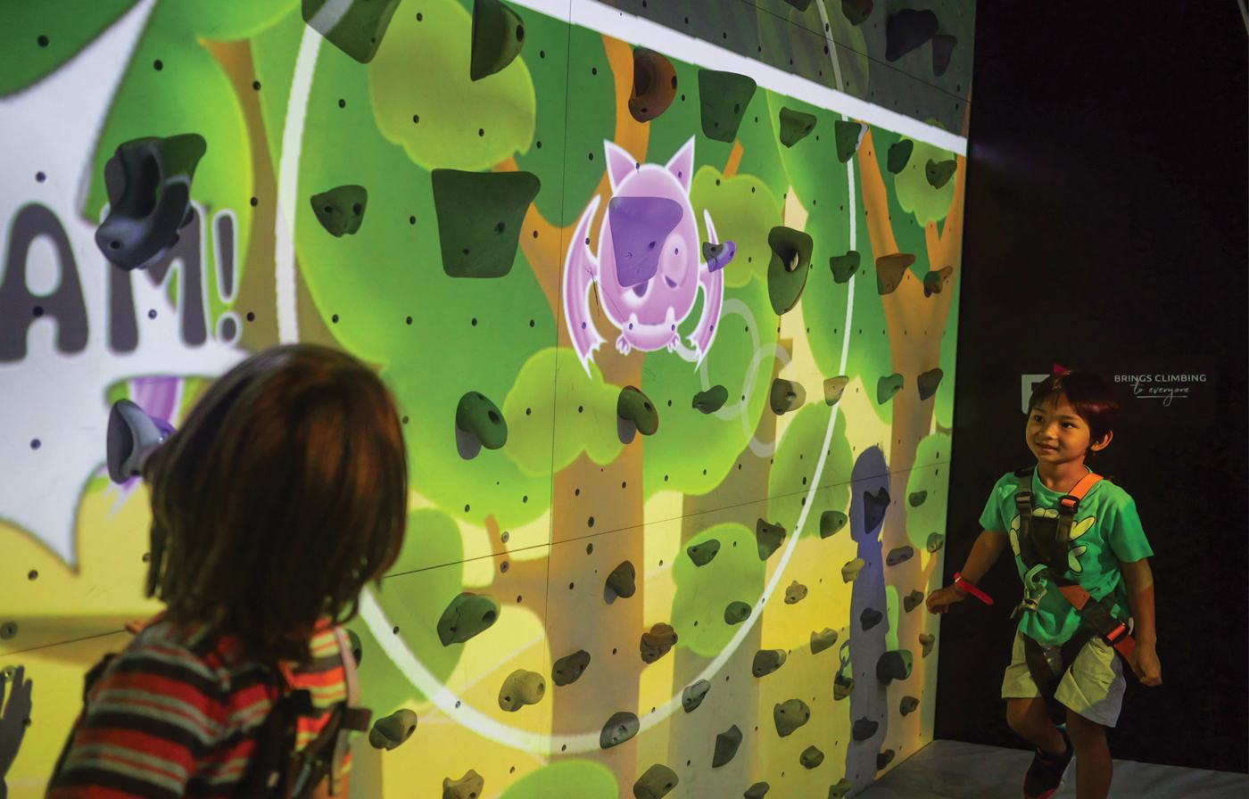 Clip n Climb — photo 3