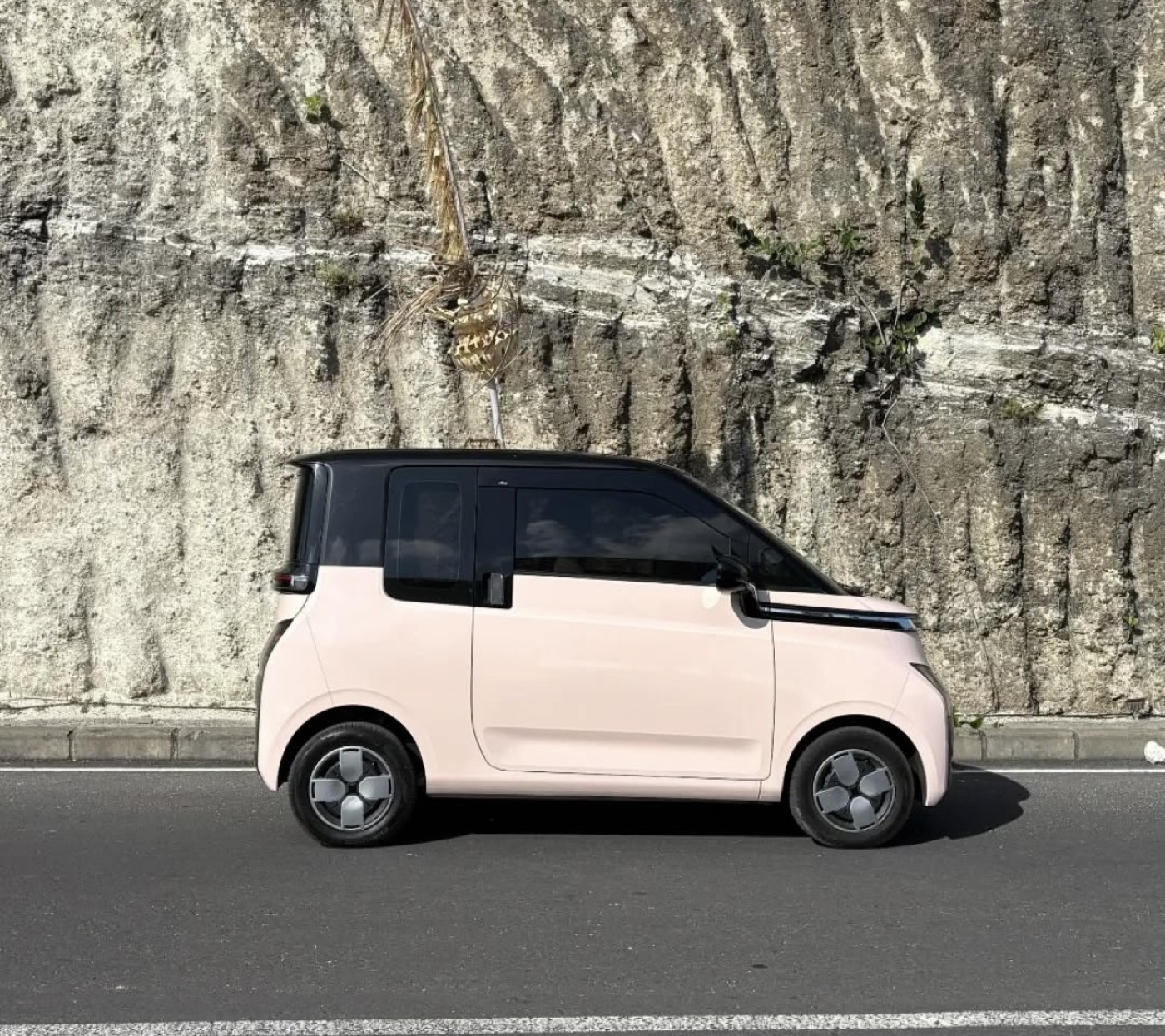 Mini Wee E-Car Rental — photo 3