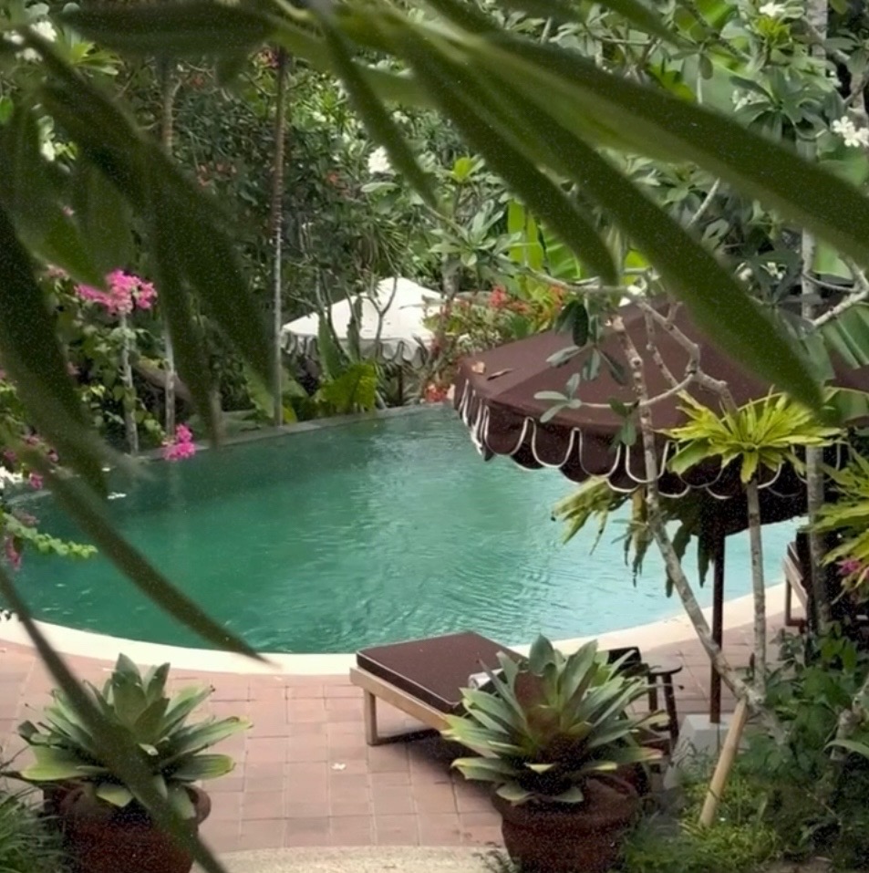 Alam Wellness Bali — photo 3