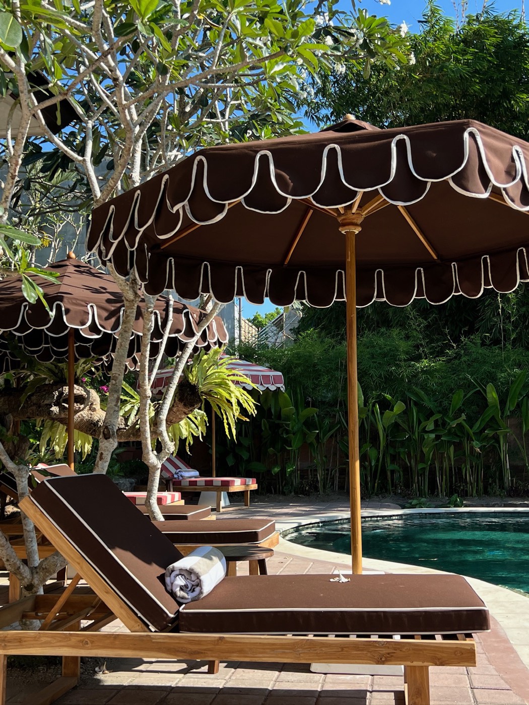Alam Wellness Bali — photo 6