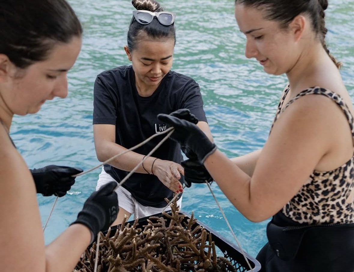 Livingseas Asia — photo 4