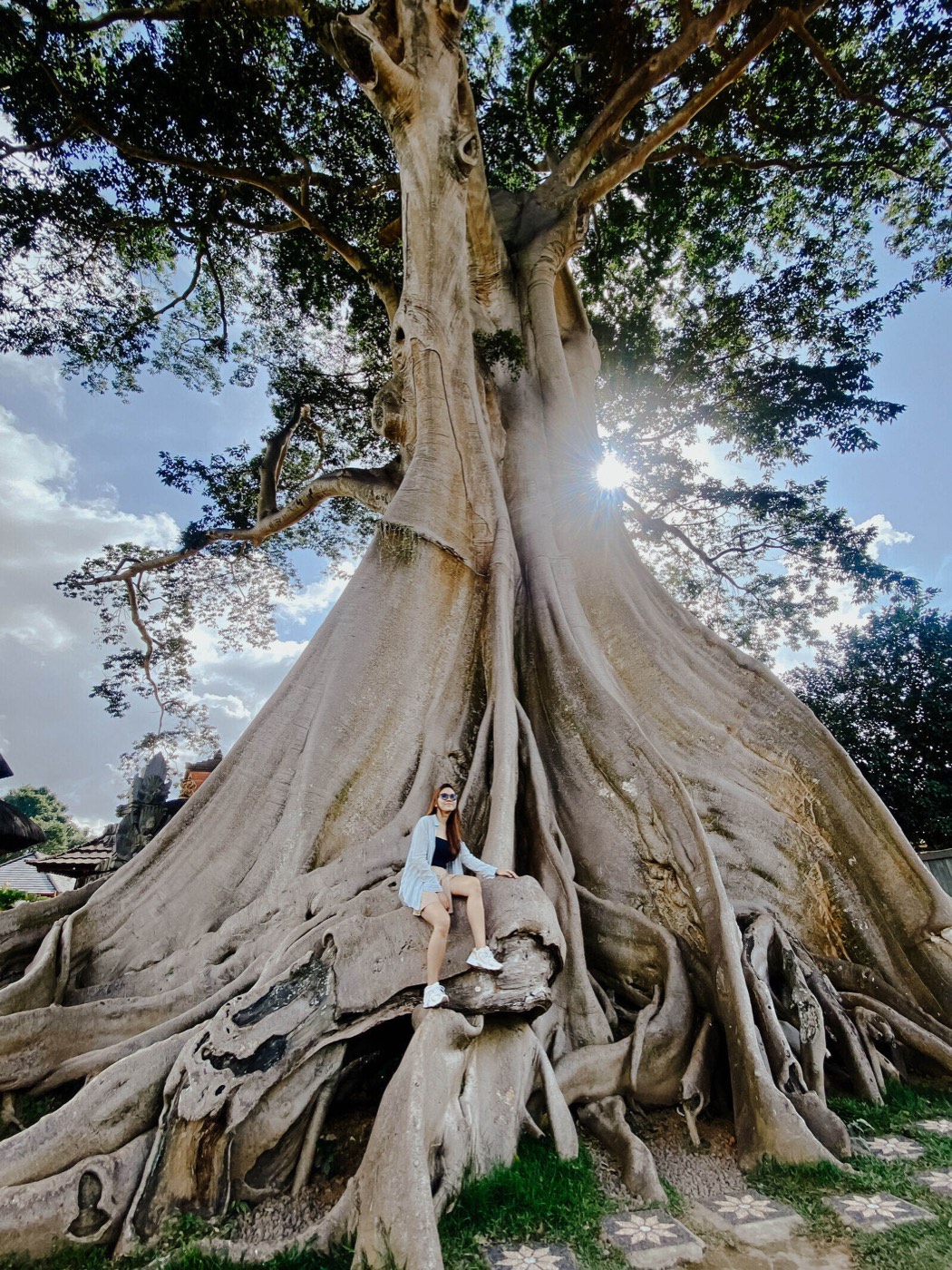 Jatiluwih and Ancient Banyan Tree - Land Rover Experience — photo 3