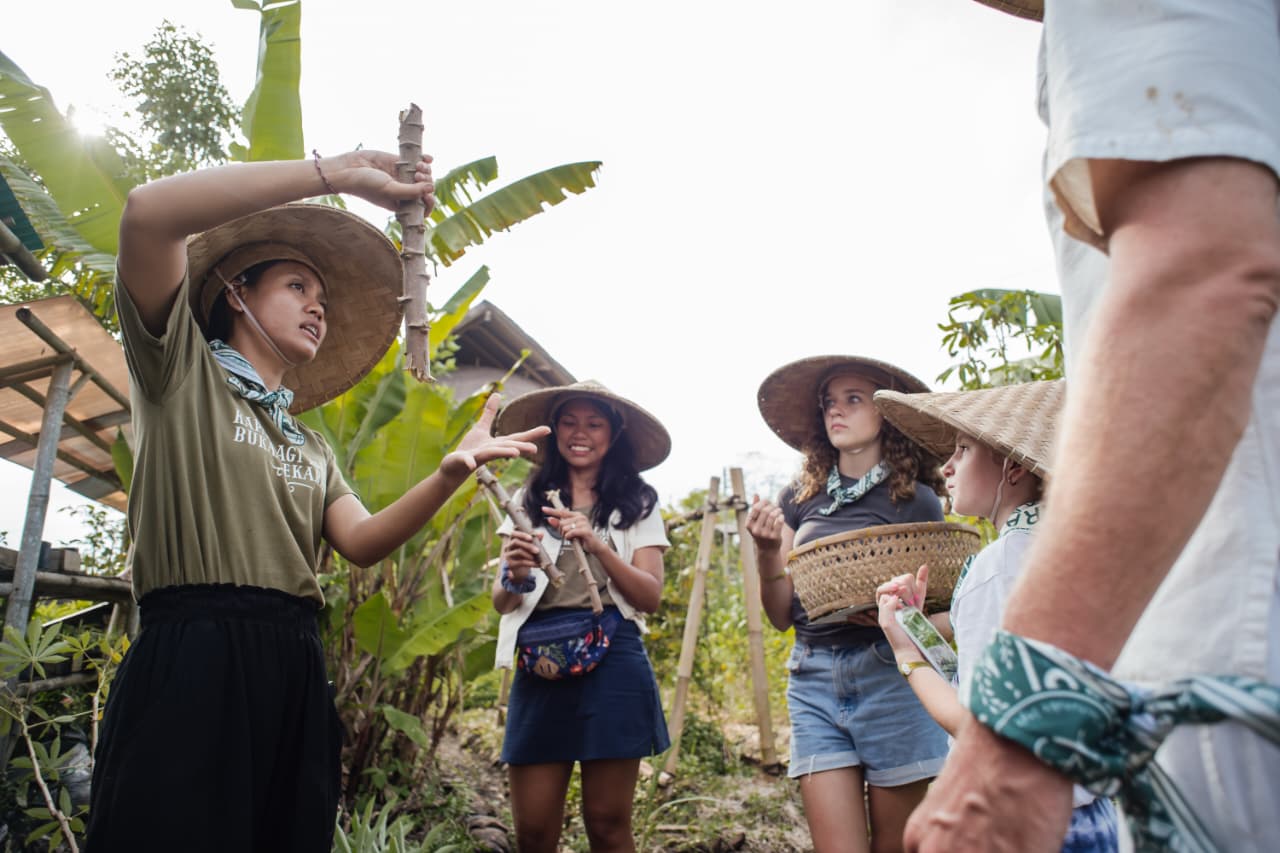 An Overnight in Serene Rice Paddies and Regenerative Farm Experience — photo 2