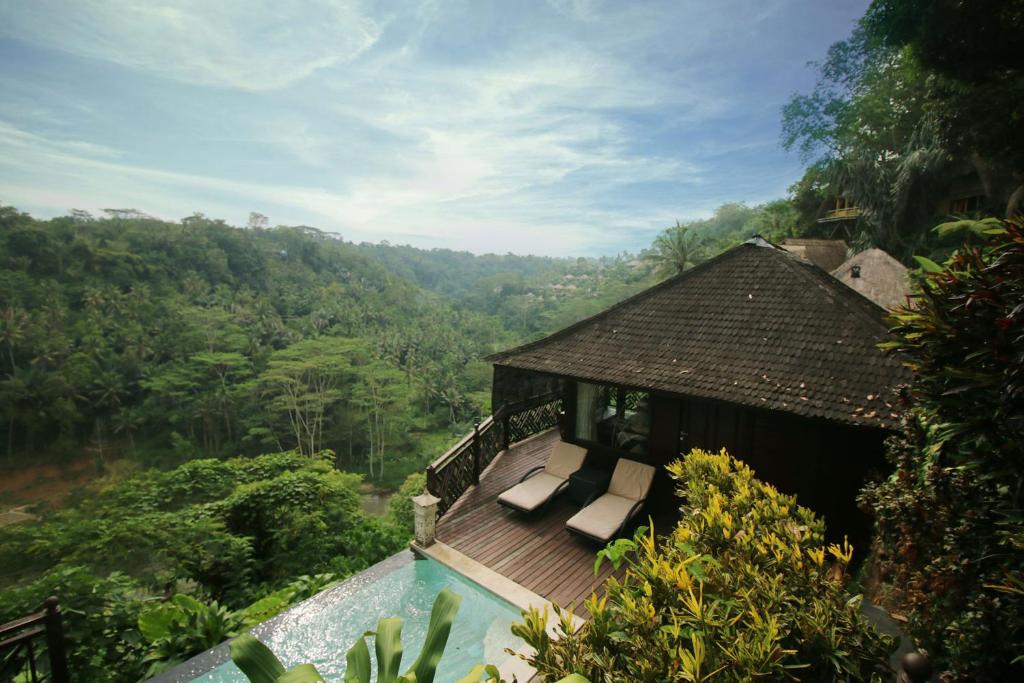 Kupu Kupu Barong — photo 2