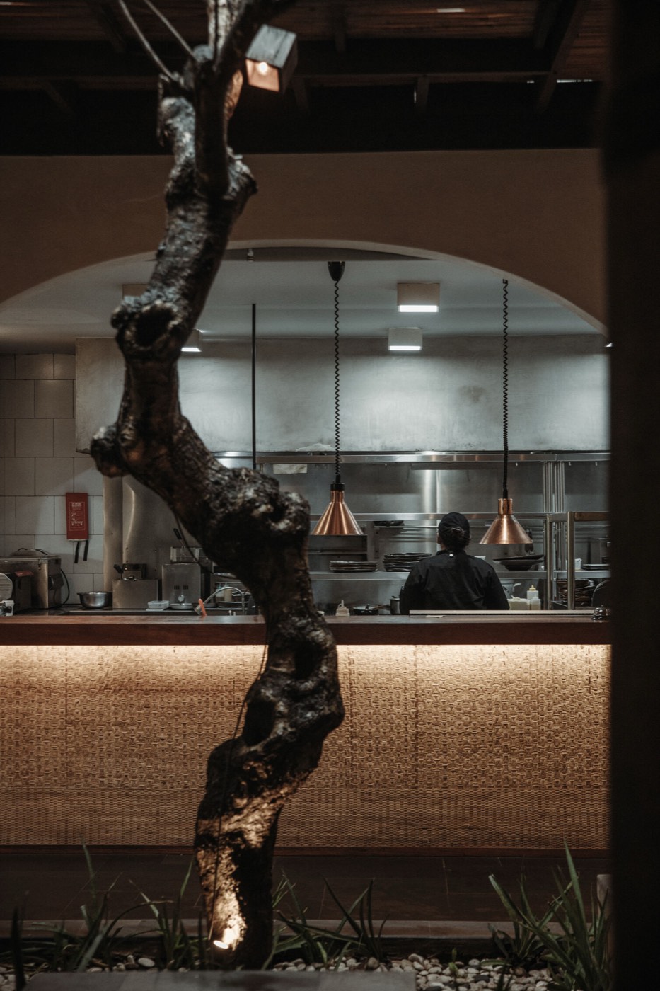 CHORA Mediterranean Restaurant — photo 4