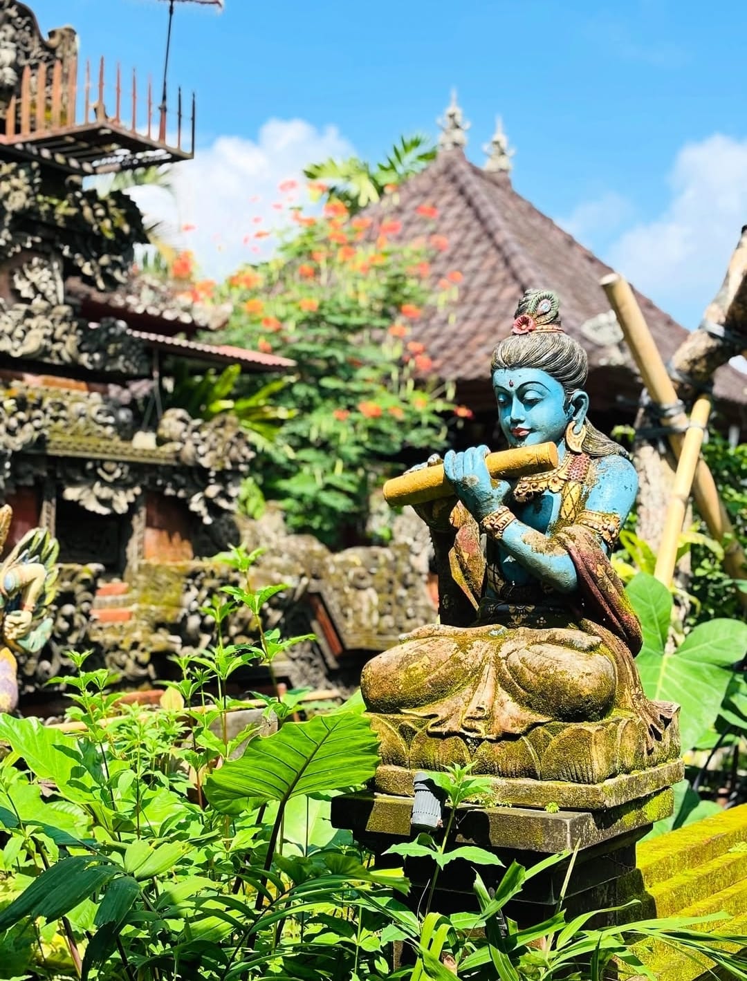 Ary's Book Cafe Ubud — photo 2