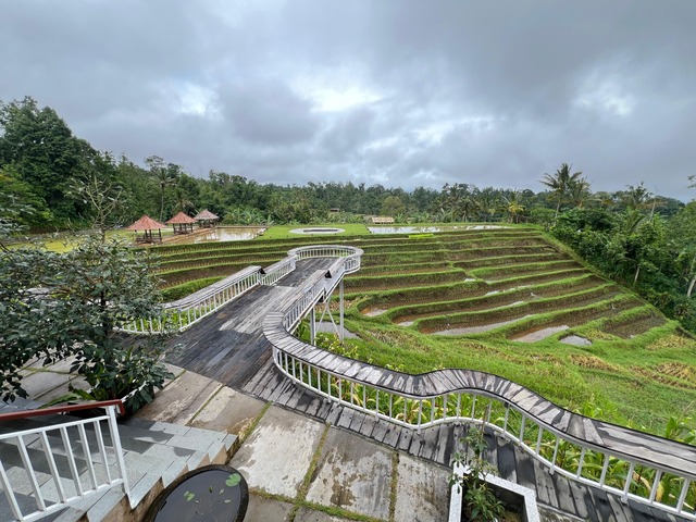 Jatiluwih Eco Farm — photo 3