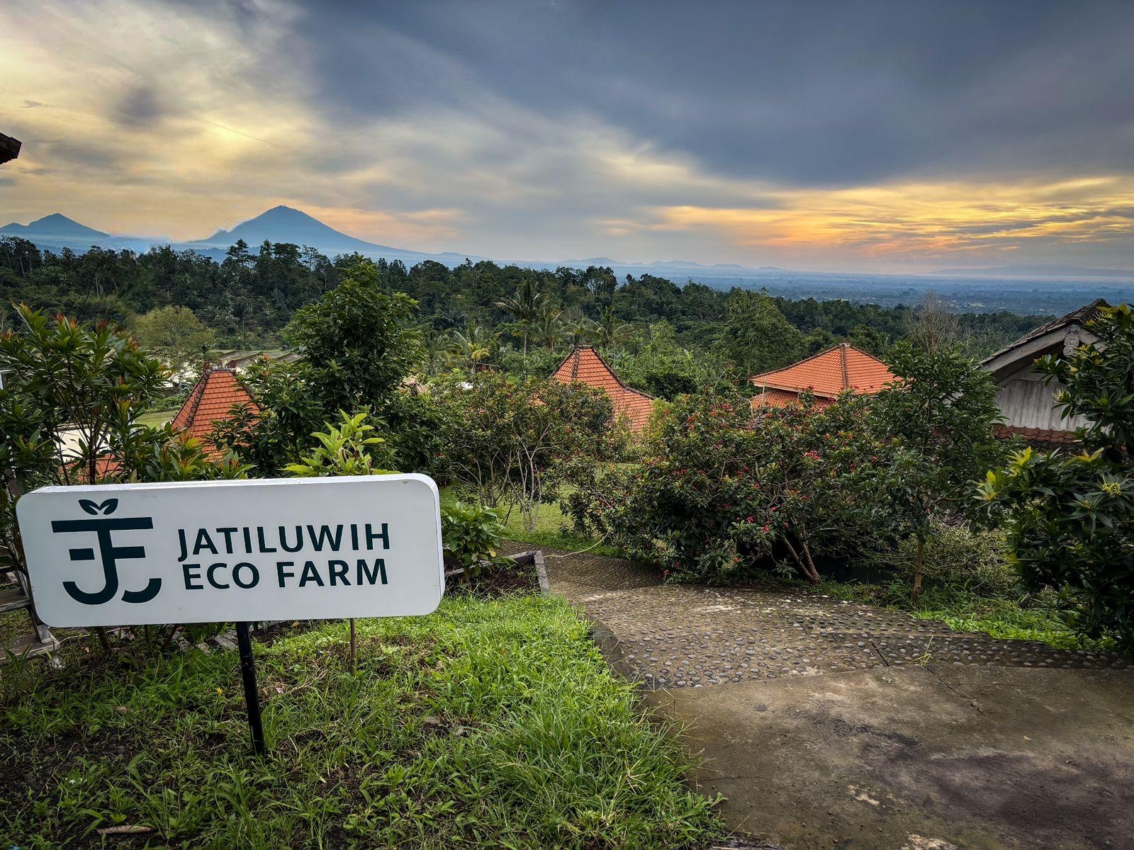 Jatiluwih Eco Farm — photo 5