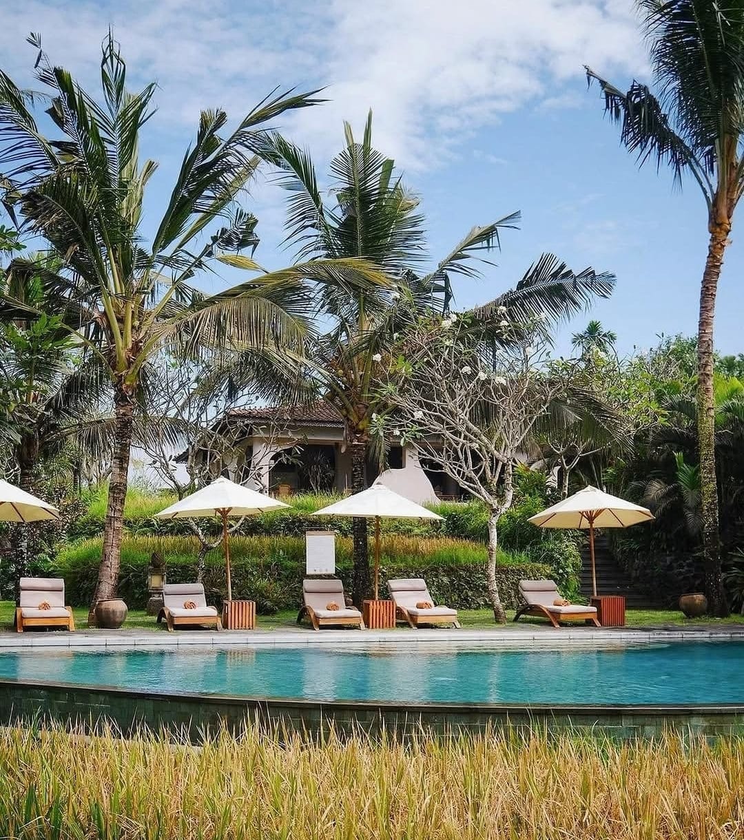 Alaya Resort Ubud — photo 4