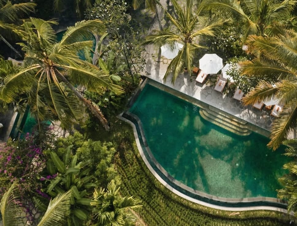 Alaya Resort Ubud — photo 5