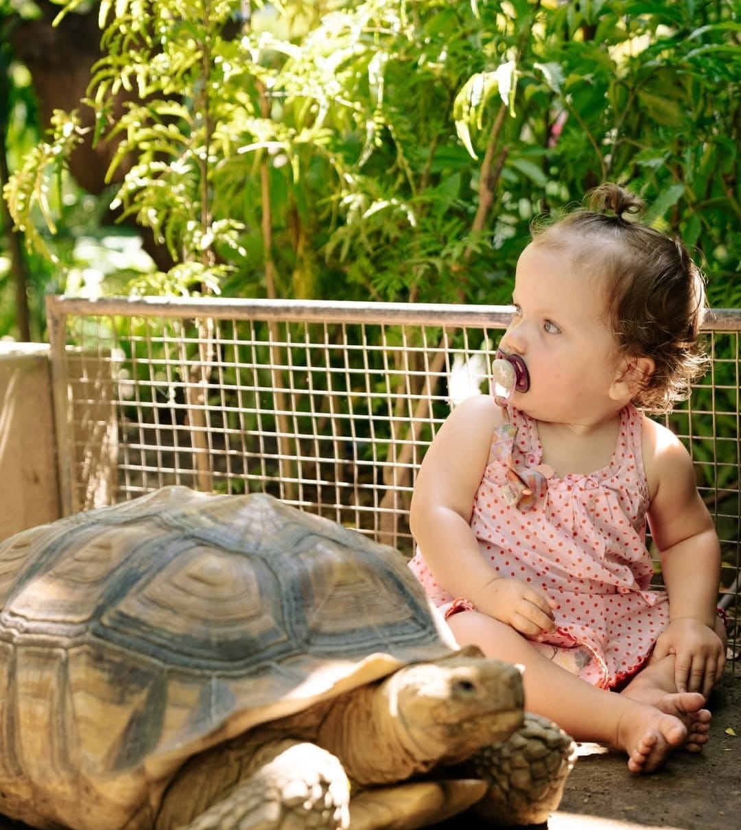 Hidden Mini Zoo Bali Regular Ticket — photo 4