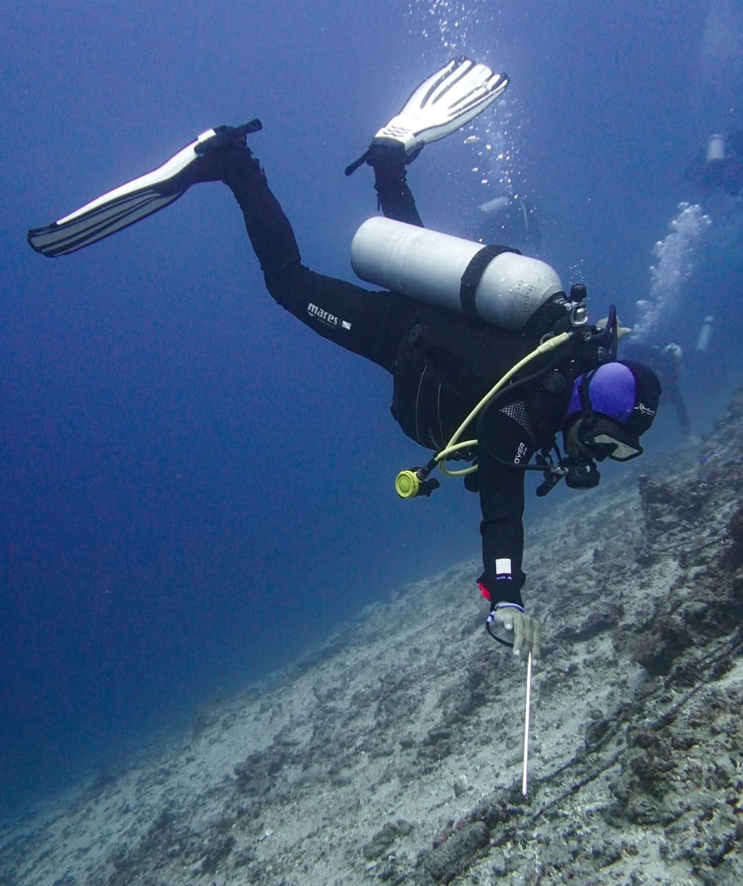Blue Corner Dive Nusa Penida — photo 5