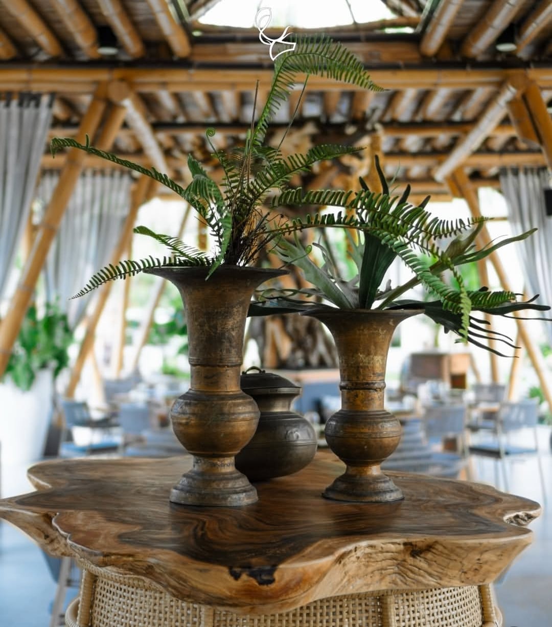 The Jungle Club - Bamboo Restaurant — photo 4