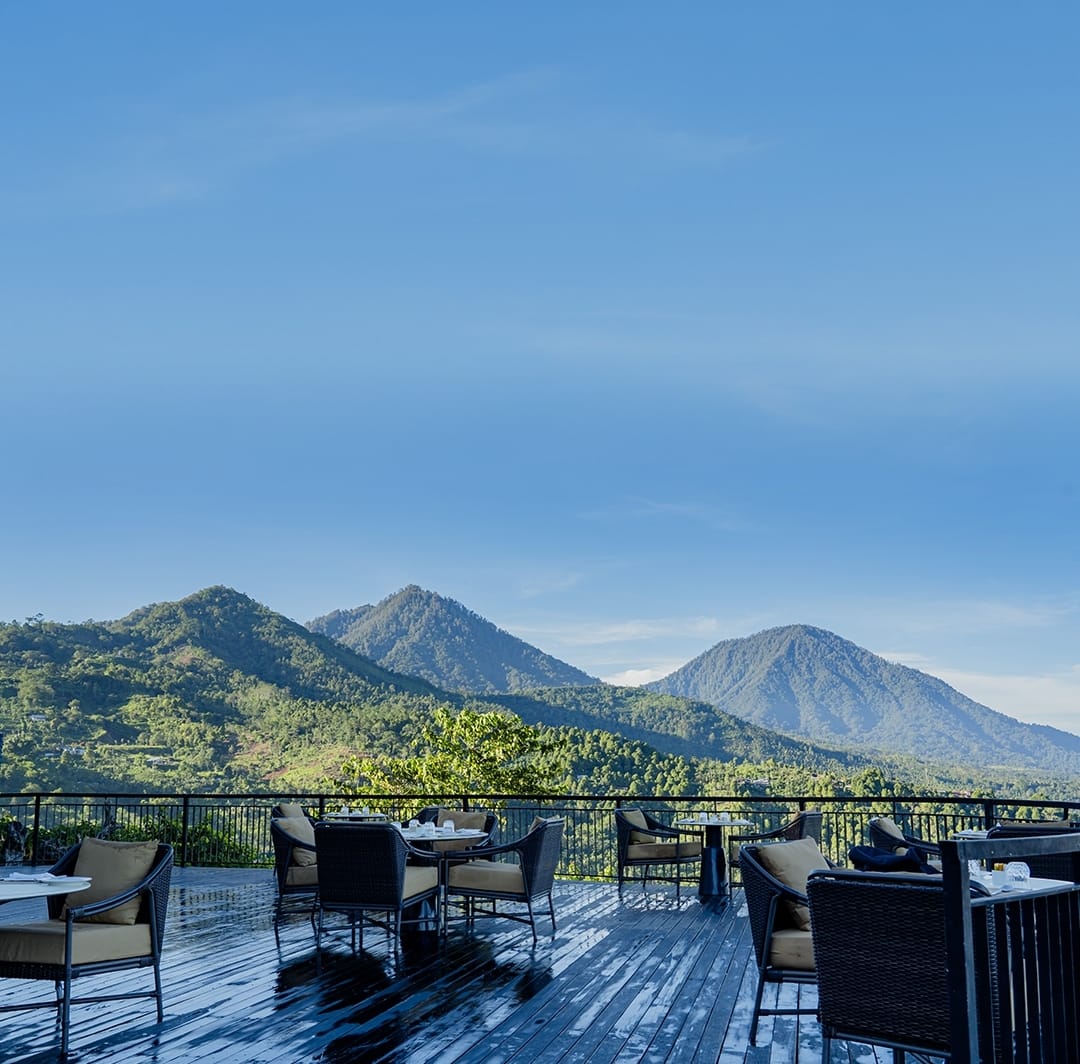 Elevate Bali — photo 5