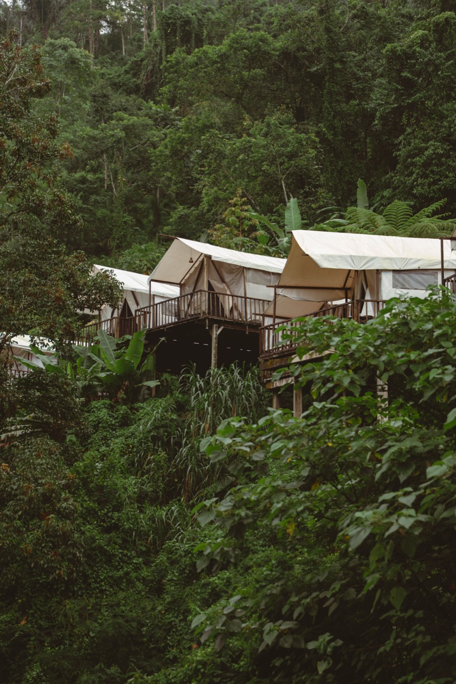 Pelaga Eco Park — photo 2